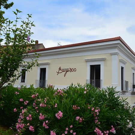 Borgo 800 Bed and Breakfast San Nicola Arcella Buitenkant foto